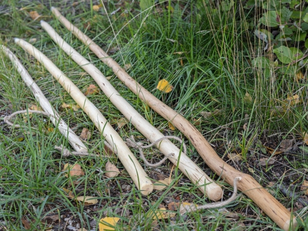 Wanderstock , Hirtenstock , Pilgerstock  Haselnuß , Wurzelstock mit Hanfschlaufe , 125 cm